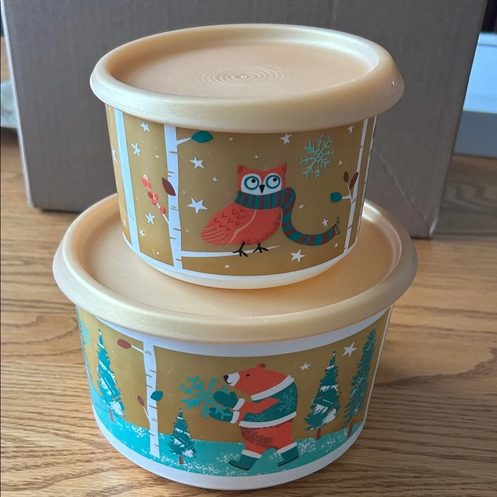 Tupperware Winter Storage Containers - Picture 1 of 8